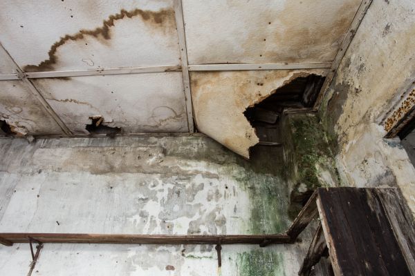 Water Damage Service in Royal Oak