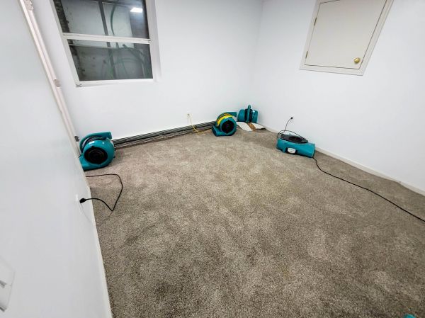 Flood Restoration Service in Royal Oak
